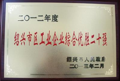 祝贺我公司被列为2012年度绍兴市行业龙头骨干企业100强。（市区工业企业综合优胜二十强）